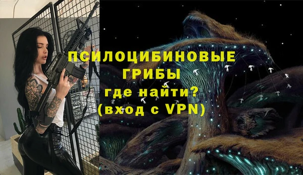 спиды Алзамай