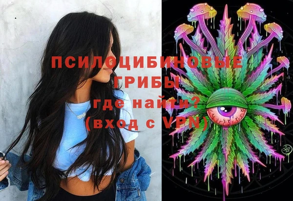 спиды Алзамай