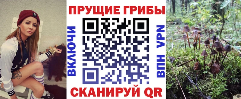 Галлюциногенные грибы MAGIC MUSHROOMS  Иланский 